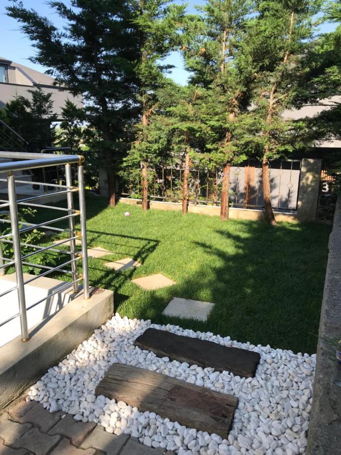 Large Private Villa Arnavutkoy المظهر الخارجي الصورة